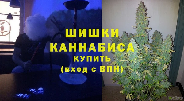 шишки Богданович